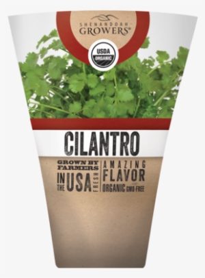 Healthy Cilantro Herb Seeds