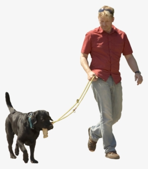Pet Sitting Puppy Shock - Man Walking Dog Transparent Background
