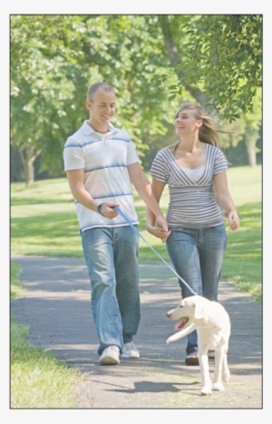 Pets And Wildlife - Couples Walking The Dog