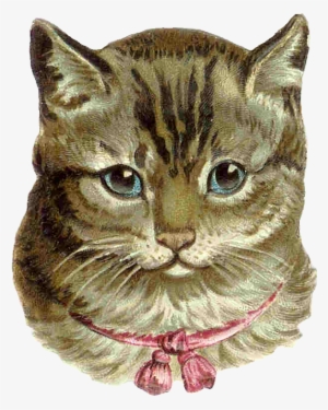 Grey Cat From Antique Images - Cross Stitch Patterns Pinc Cats