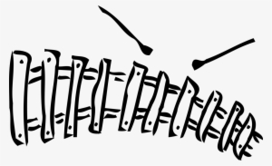 Vector Illustration Of Xylophone Chromatic Musical - Calligraphy