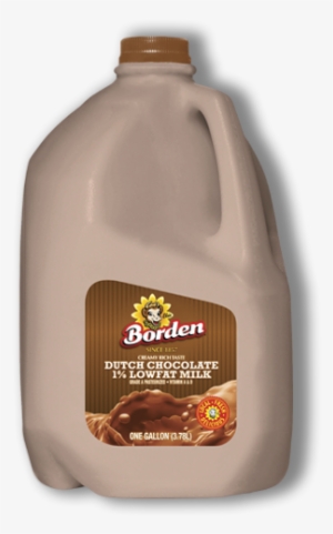 1 Percent Dutch Chocolate Low Fat Milk - Borden's Dutch Chocolate Milk
