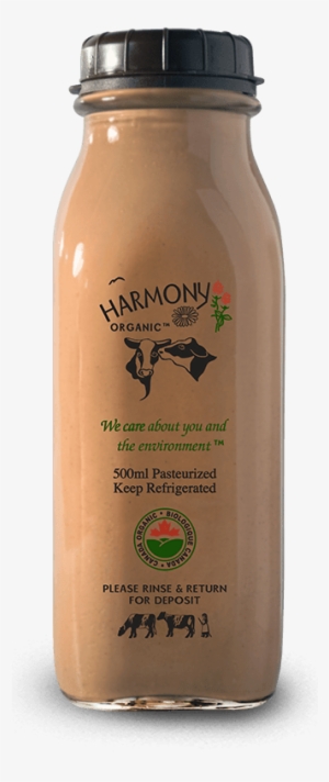 Organic Chocolate Milk 500ml Glass Bottle - Harmony Organic