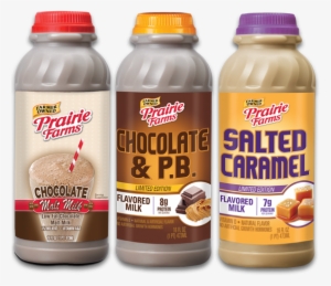 Milk, Flavored Pints