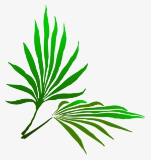 Fresh Palm Tree - Palm Sunday Clip Art Free