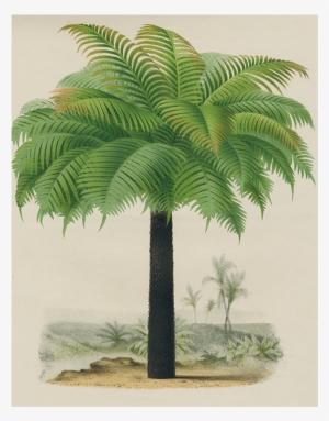 078 Fcebf134 Be22 4827 8f52 F48955a32d29 V=1527865983 - Symbolism