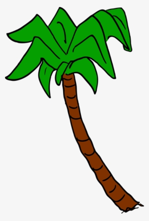 Palm Trees Leaf Color Plants - Palm Trees