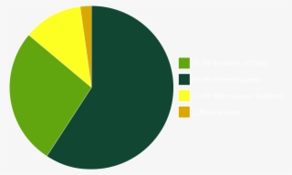 Pie Chart Of Enrollment Of Students By Ethnic Identity - Circle