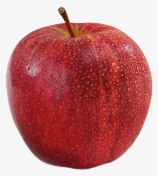 Royal Gala - Apple