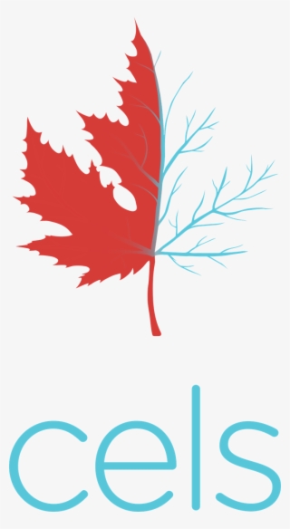 Vector Maple Leaf Silhouette