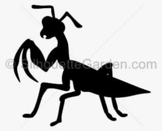 Black And White Mantis Clipart