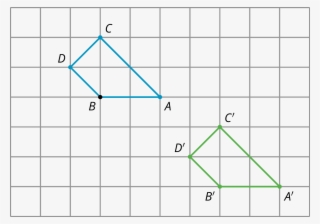 Two Identical Quadrilaterals On A Grid Labeled B D - Quadrilateral On Grid