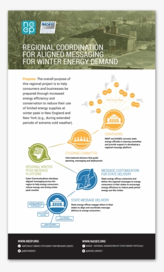 Neep Infograph - Flyer