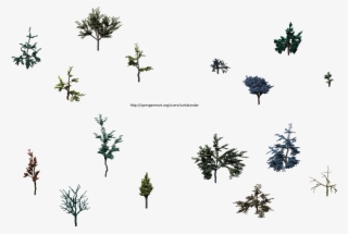 Hjm Small Jagged Trees Alpha - Tree