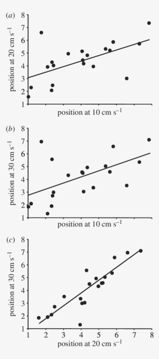 relationships among mean positions of focal fish in - plot
