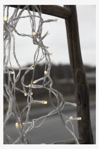 Light Chain Serie Led - Barbed Wire