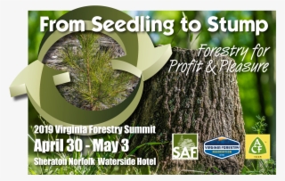 2019 Va Forestry Summit - Flyer