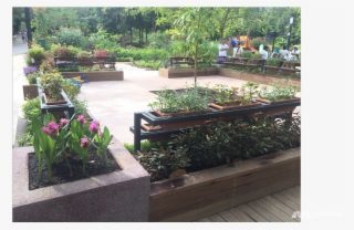 Therapeutic Garden Bishan Park