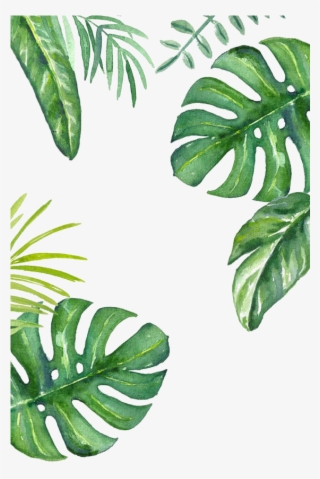 Green Wallpaper Leaf Banana Png Download Free Clipart - Leaves