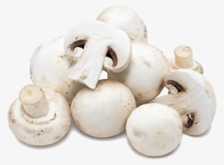 Button Mushrooms - Mushroom Png