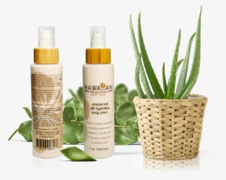 New Unscented Silk Hydrating Body Lotion - Aloes
