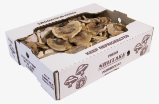 5lb Shitaki Box - Lingzhi Mushroom