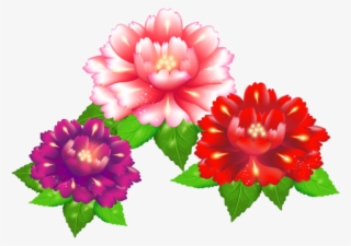Free Png Download Exotic Flowers Png Images Background - Illustration