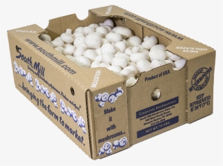 Foodservice Products - 10 Lb Of Mushrooms