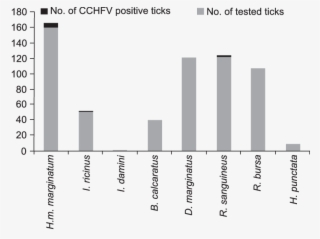 Cchfv-infestation Among Ticks From The Region Of Stara - Number