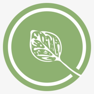 Medium Image - Leaf