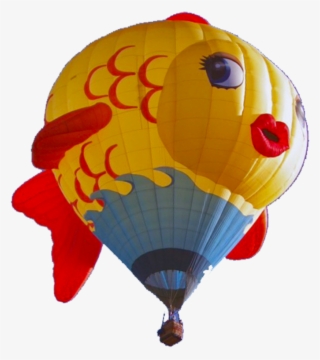 Sushi - Hot Air Balloon