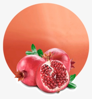 Com/wp Juice Nfc 2 - Pomegranate Meaning In Urdu