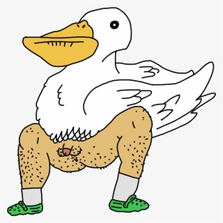 “pelicanman ” No Words Can Explain This Besides Well - Cartoon