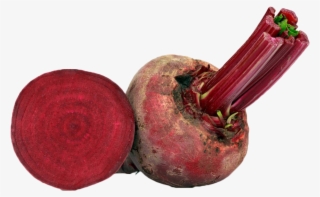 Purple Radish Common Beet - Pomegranate