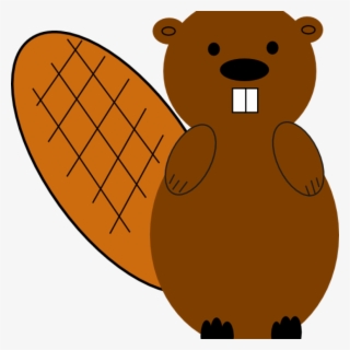 Clipart Beaver Beaver No Smile Clip Art At Clker Vector - Teddy Bear