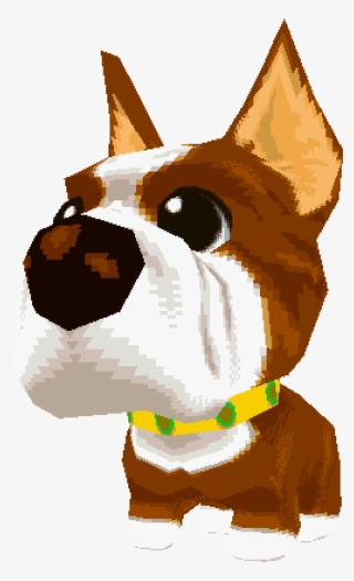 Download Zip Archive - Boxer
