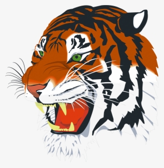 Tiger Png Vector - Tiger Head
