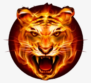 Tiger Png Logo - Flame Tiger