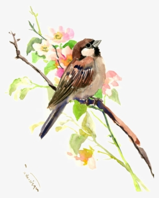 Colourful Sparrow Images - Paintings Of Sparrows