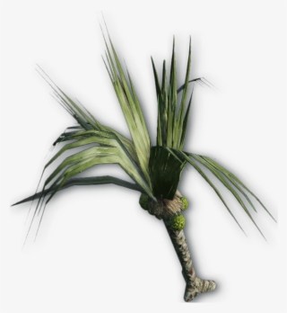 Green Plants - Amber Leaf Far Cry 3