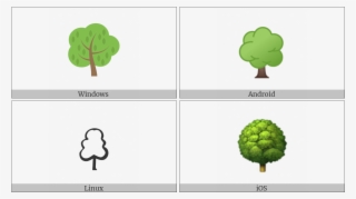 Deciduous Tree On Various Operating Systems - Broccoli