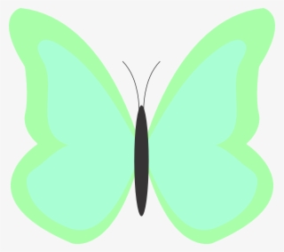 Butterfly Png