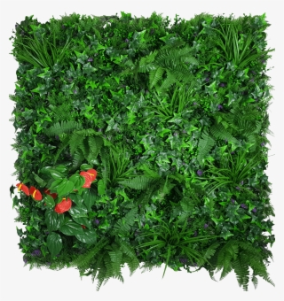 Artificial Green Wall Hedge Panel Mixed Jungle - Artificial Green Wall Png