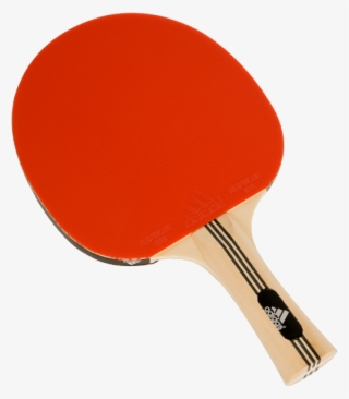 racket pingpong adidas champ10422 - راکت پینگ پنگ ادیداس