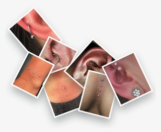 Here A Sample Of Some Of The Piercings We Have Done - Earrings