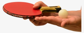 Hands Holding Table Tennis Of Racket And Ball Png Image