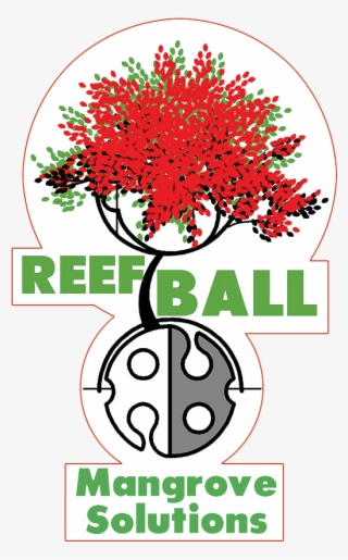 Reef Ball Applications Mangroves - Floral Design