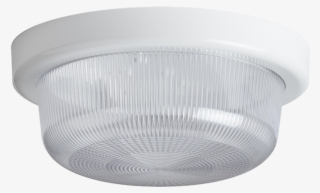 Elektra 3l - Ceiling