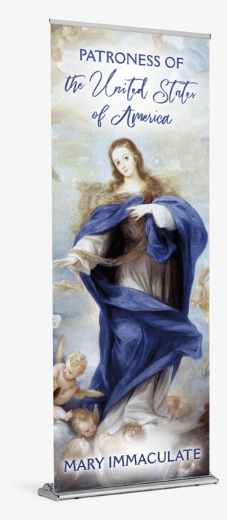Fortnight For Freedom - Immaculate Conception