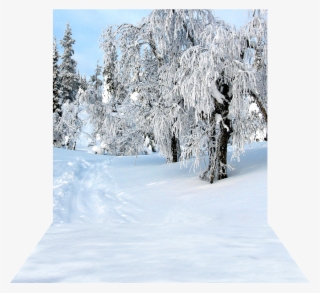 3 Dimensional View Of 10'x20' Backdrop - Snow